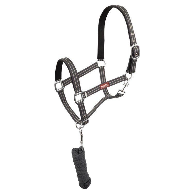 Premiere Halsterset Musketon Nylon halsters - Maddelin Equestrian Premiere