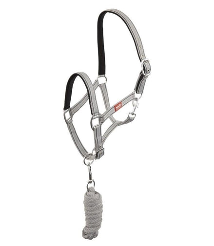 Premiere Halsterset Musketon Nylon halsters - Maddelin Equestrian Premiere