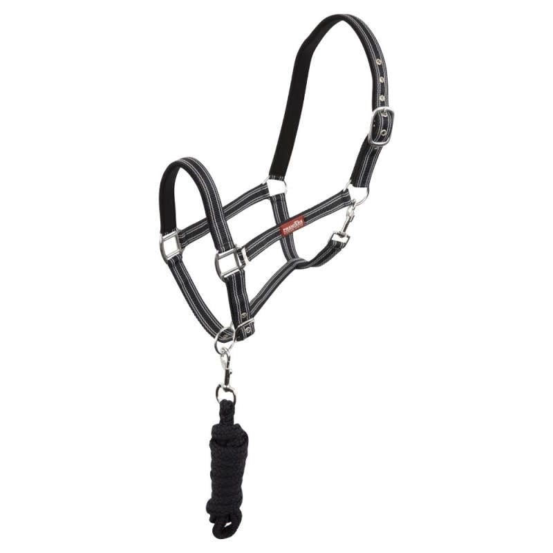 Premiere Halsterset Musketon Nylon halsters - Maddelin Equestrian Premiere
