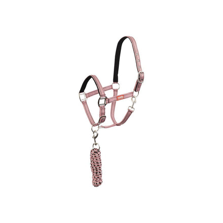 Premiere Halsterset Musketonhaak Nylon halsters - Maddelin Equestrian Premiere