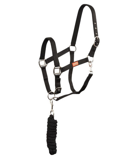 Premiere Halsterset Musketonhaak Nylon halsters - Maddelin Equestrian Premiere
