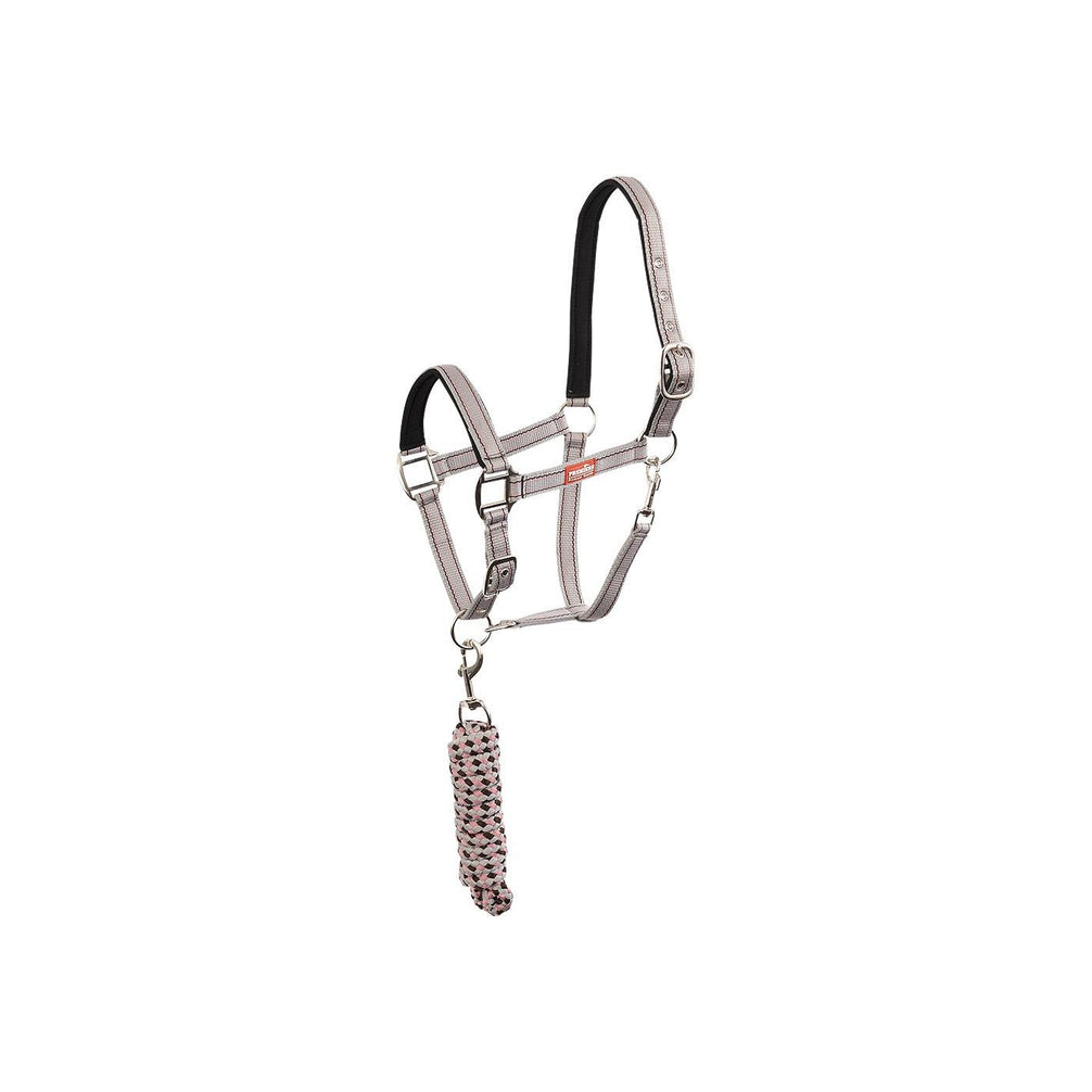 Premiere Halsterset Musketonhaak Nylon halsters - Maddelin Equestrian Premiere