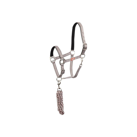 Premiere Halsterset Musketonhaak Nylon halsters - Maddelin Equestrian Premiere