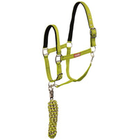 Premiere Halsterset Musketonhaak Nylon halsters - Maddelin Equestrian Premiere