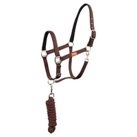 Premiere Halsterset Musketonhaak Nylon halsters - Maddelin Equestrian Premiere