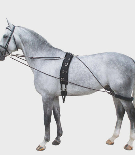 Premiere Pessoa Longeerhulpteugel Zwart/Bordeaux Longeerbenodigdheden - Maddelin Equestrian Premiere