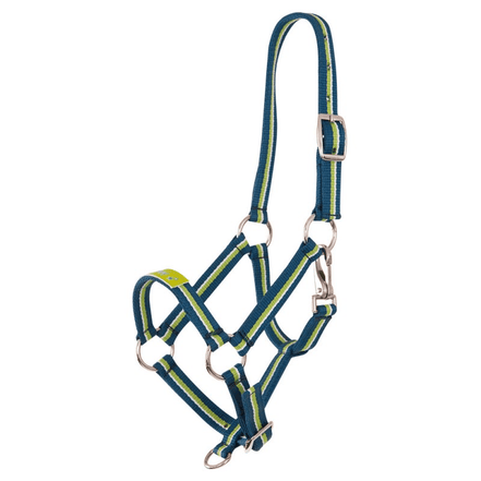 Premiere Veulenhalster Fun Veulenhalsters - Maddelin Equestrian Premiere