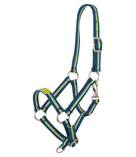 Premiere Veulenhalster Fun Veulenhalsters - Maddelin Equestrian Premiere