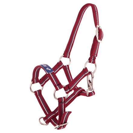 Premiere Veulenhalster Fun Veulenhalsters - Maddelin Equestrian Premiere