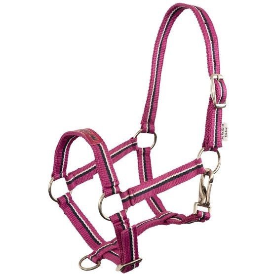 Premiere Veulenhalster Fun Veulenhalsters - Maddelin Equestrian Premiere