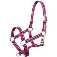 Premiere Veulenhalster Fun Veulenhalsters - Maddelin Equestrian Premiere