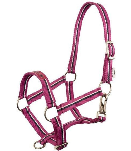 Premiere Veulenhalster Fun Veulenhalsters - Maddelin Equestrian Premiere