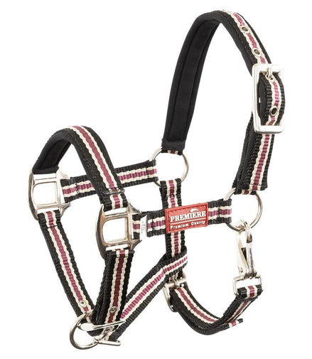 Premiere Veulenhalster Vivid Veulenhalsters - Maddelin Equestrian Premiere