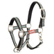 Premiere Veulenhalster Vivid Veulenhalsters - Maddelin Equestrian Premiere