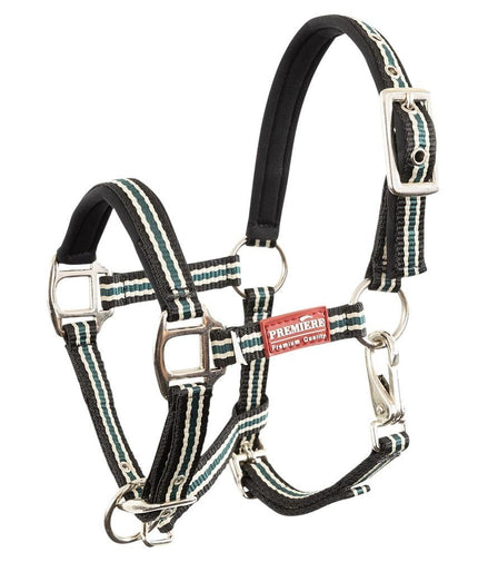 Premiere Veulenhalster Vivid Veulenhalsters - Maddelin Equestrian Premiere