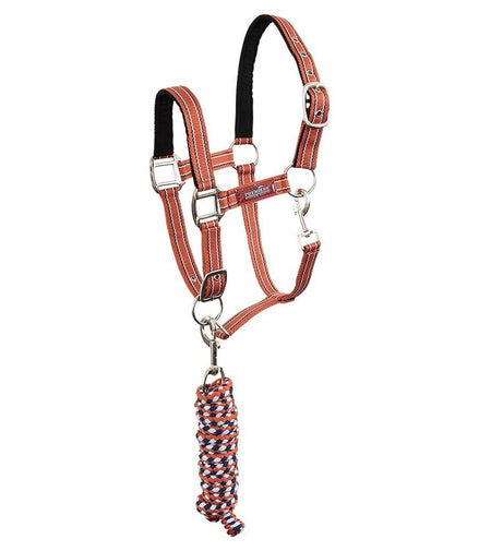Premiere XS halsterset musketonhaak ss24 Nylon halsters - Maddelin Equestrian Premiere