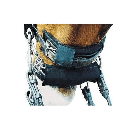 Prolite Hoofdstel Pad - Curb Toebehoren hoofdstellen - Maddelin Equestrian Prolite