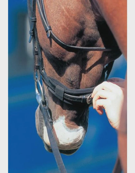Prolite Hoofdstel Pad – Neusbeschermer Toebehoren hoofdstellen - Maddelin Equestrian Prolite