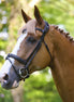 LJ Leathers PS headstall Legendary combined noseband