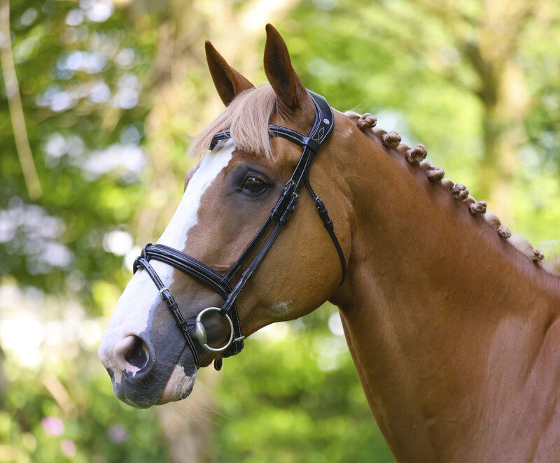 LJ Leathers PS headstall Legendary combined noseband