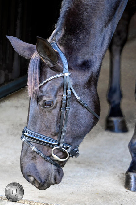 LJ Leathers Pro Selected Hoofdstel Sunline Black