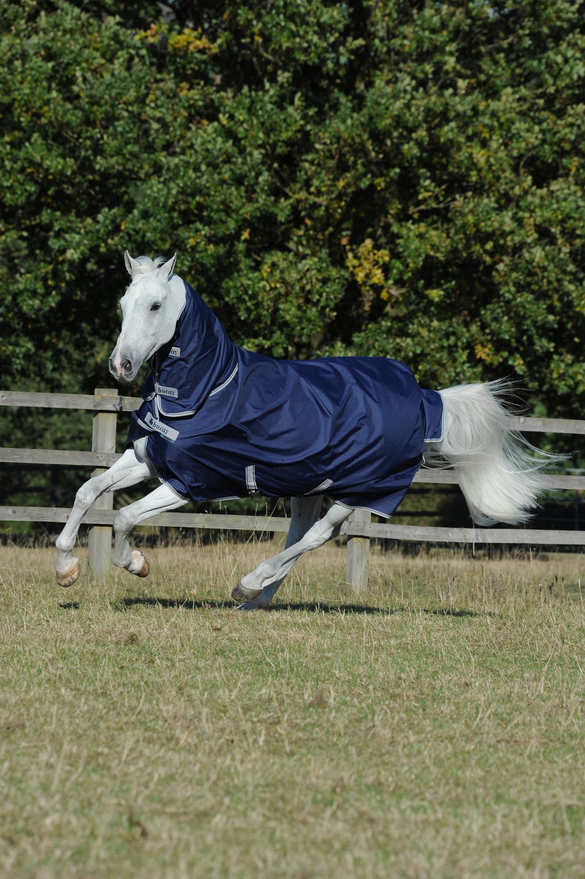 Bucas Freedom Turnout + Neck 100 Navy op een paard in de wei