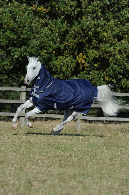 Bucas Freedom Turnout + Neck 100 Navy op een paard in de wei