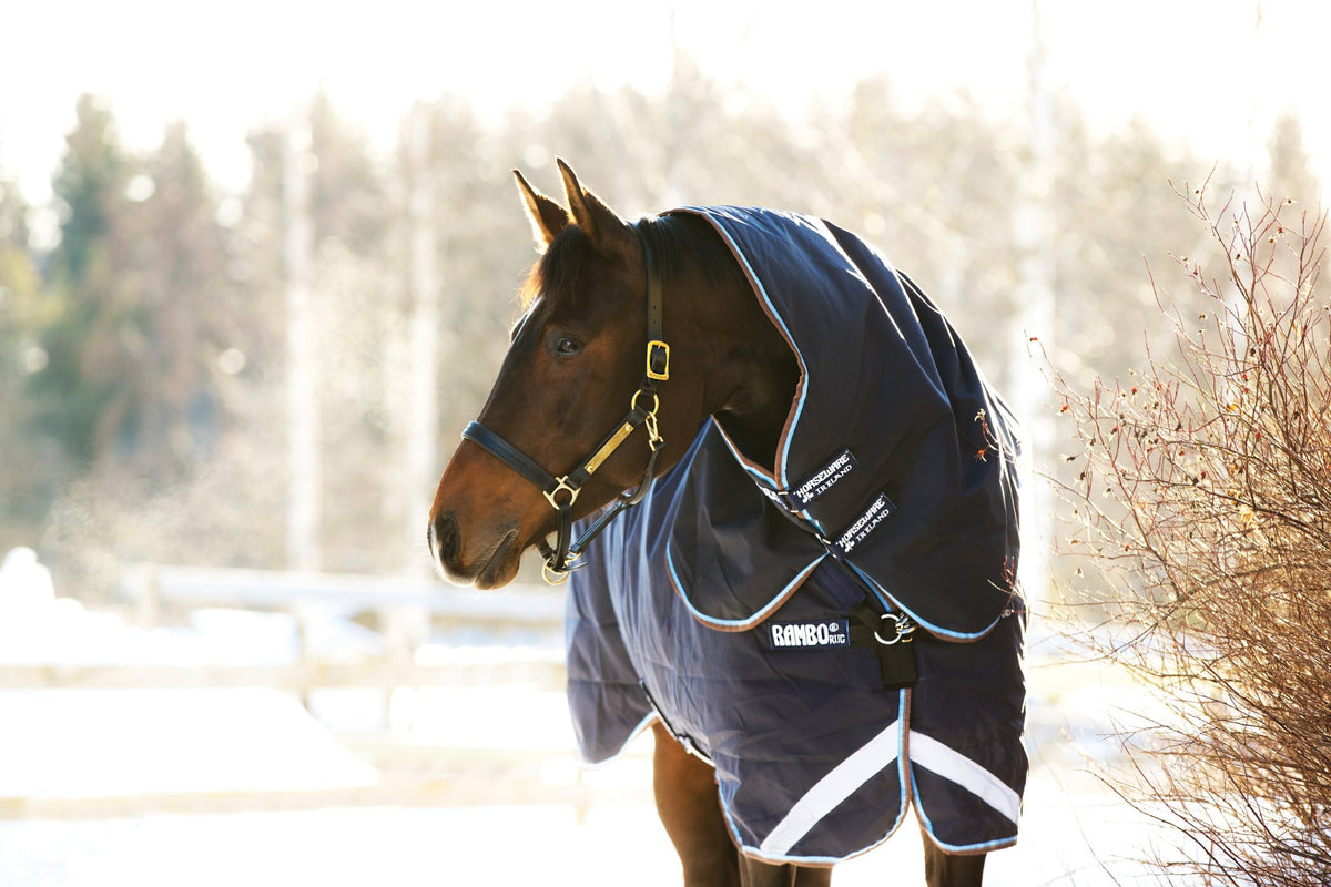 Schouder- en halsafwerking van de Rambo Duo Plus Turnout deken in Navy