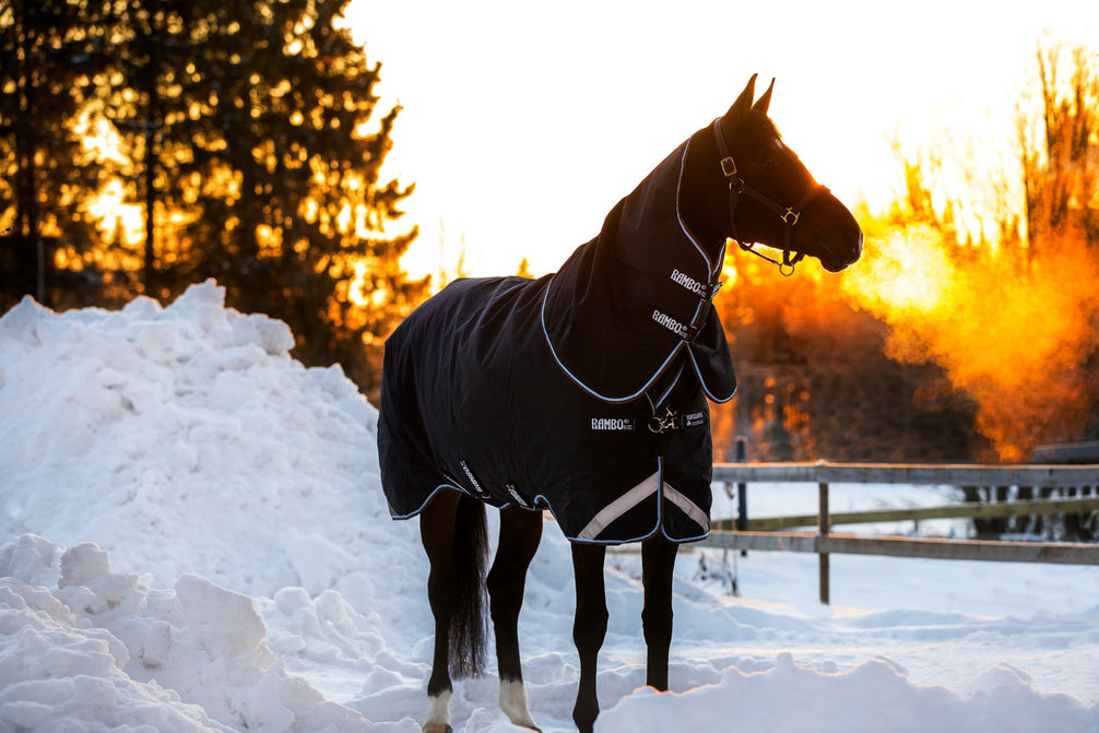 Rambo Duo Plus Turnout deken van achter en opzij, in het winterlicht