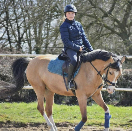 ReinRite Sport Hulpteugels - Maddelin Equestrian ReinRite