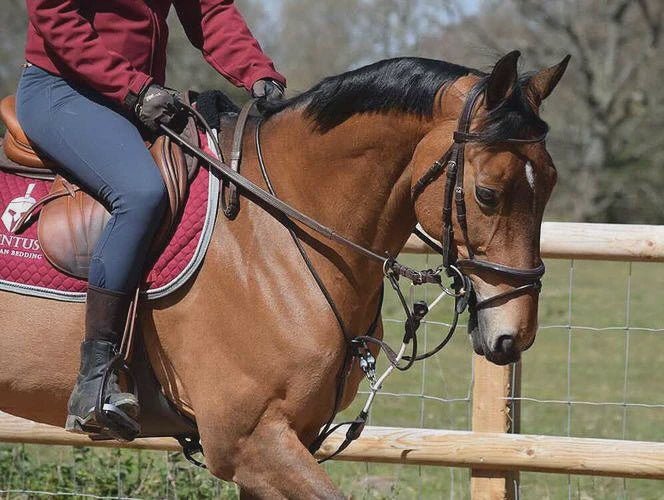 ReinRite Sport Hulpteugels - Maddelin Equestrian ReinRite