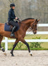 Dy'on Leather/Nylon Draw Reins 5/8 - D Collection