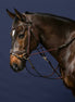 Dy'on 1/2 Rubber Gogue Teugels