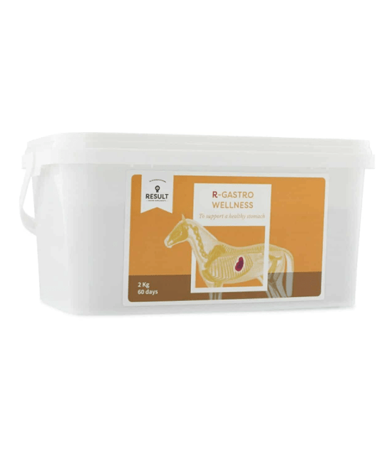 Result Equine Gastro Wellness 2KG Voedingssupplementen - Maddelin Equestrian Result Equine