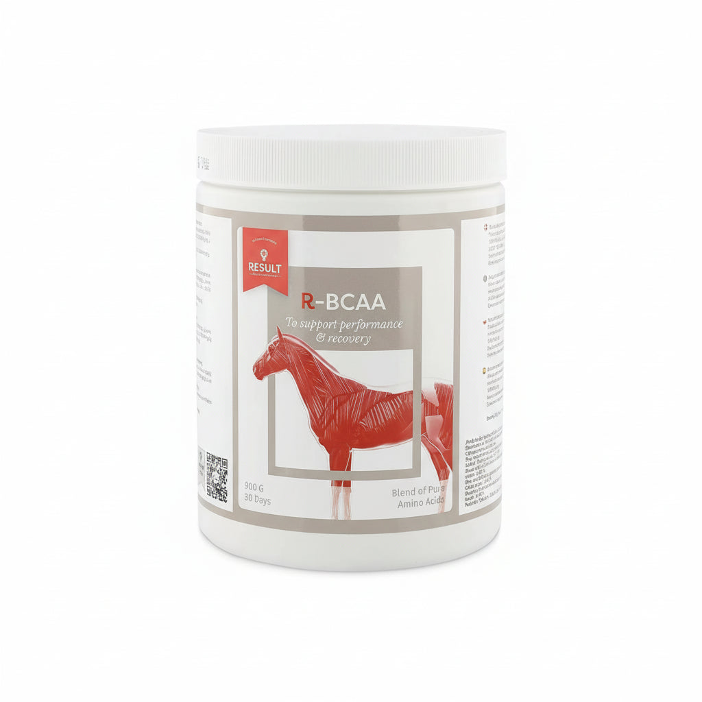 Result Equine R - BCAA Voedingssupplementen - Maddelin Equestrian Result Equine