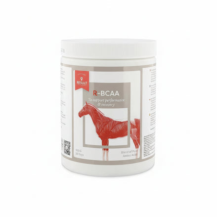 Result Equine R - BCAA Voedingssupplementen - Maddelin Equestrian Result Equine