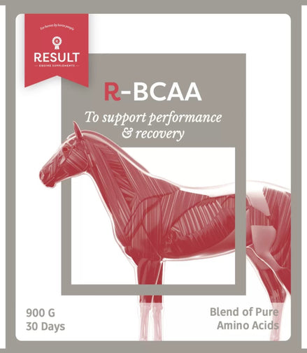 Result Equine R - BCAA Voedingssupplementen - Maddelin Equestrian Result Equine