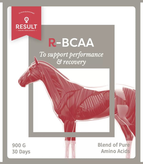 Result Equine R - BCAA Voedingssupplementen - Maddelin Equestrian Result Equine