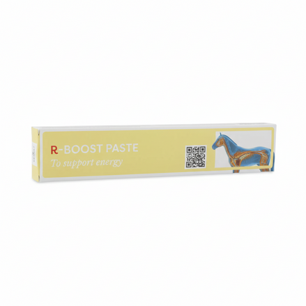 Result Equine R - Boost Paste 30ml Voedingssupplementen - Maddelin Equestrian Result Equine