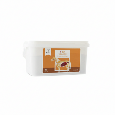Result Equine R – Gut Wellness 2kg Voedingssupplementen - Maddelin Equestrian Result Equine