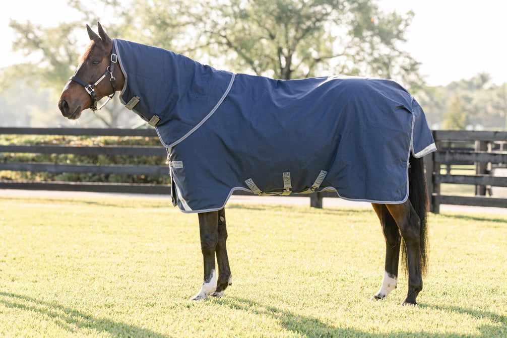 Horseware Rhino Plus Turnout deken met Vari-Layer in Navy op een grazend paard