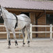Riding World leren/koord teugels Longeerbenodigdheden - Maddelin Equestrian Riding World