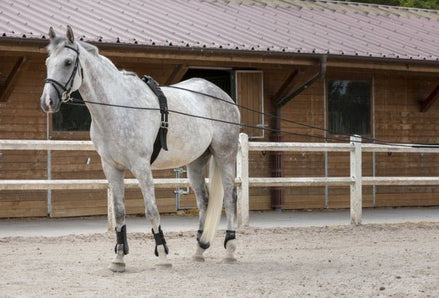 Riding World leren/koord teugels Longeerbenodigdheden - Maddelin Equestrian Riding World