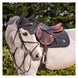 Samshield Flyshield Oornetje Swarovski Oornetjes - Maddelin Equestrian Samshield