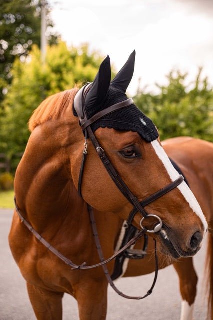 Samshield Flyshield Oornetje Swarovski Oornetjes - Maddelin Equestrian Samshield