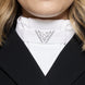 Samshield Plastron Crystal Fabric Triangle Wedstrijd Accessoires - Maddelin Equestrian Samshield