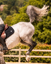 Samshield Spineshield Zadeldek Embroidery Zadeldoeken - Maddelin Equestrian Samshield