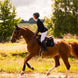 Samshield Spineshield Zadeldek Embroidery Zadeldoeken - Maddelin Equestrian Samshield
