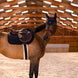 Samshield Spineshield Zadeldek Swarovski Zadeldoeken - Maddelin Equestrian Samshield