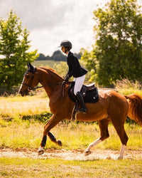 Samshield Spineshield Zadeldek Swarovski Zadeldoeken - Maddelin Equestrian Samshield